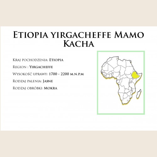 Etiopia Yirgacheffe