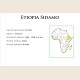 Etiopia Sidamo Drip