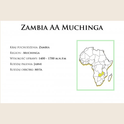 Zambia AA